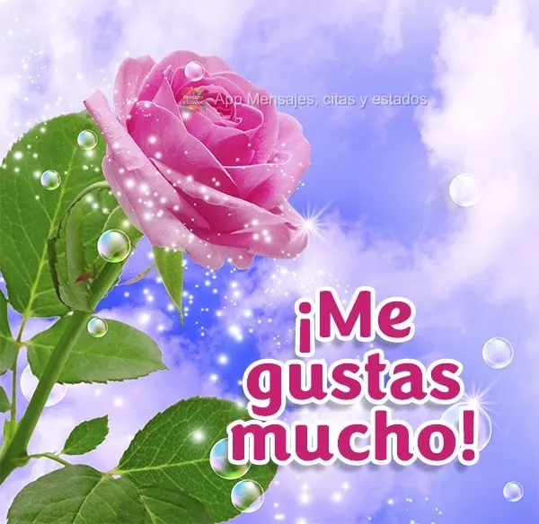 ¡Me gustas mucho!