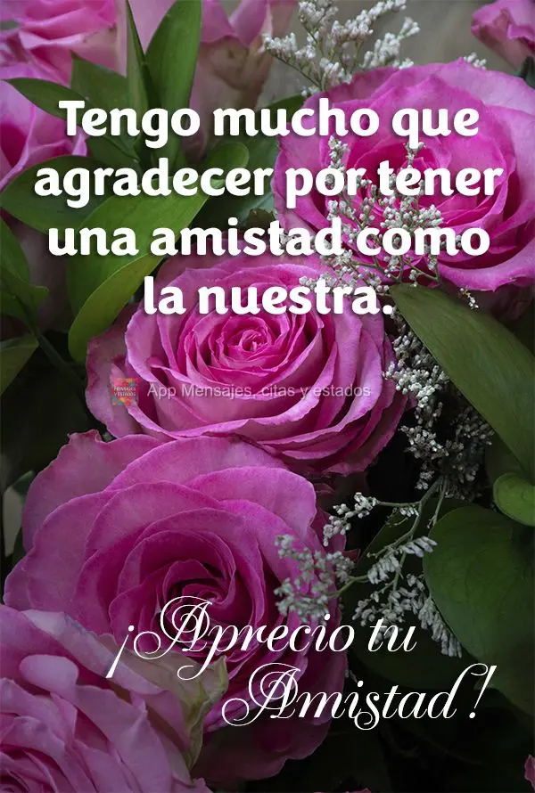 Tengo mucho que agradecer por tener una amistad como la nuestra. ¡Aprecio tu amistad!