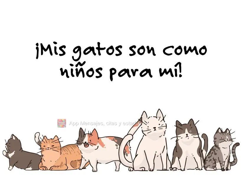 Meus gatos são como filhos para mim!
