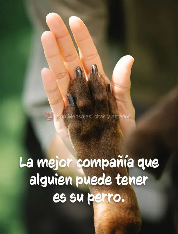 A melhor companhia que alguém pode ter é do seu doguinho.