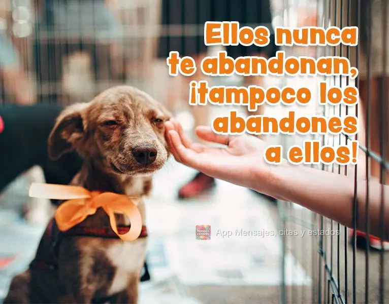 Eles nunca te abandonam, não os abandonem também!