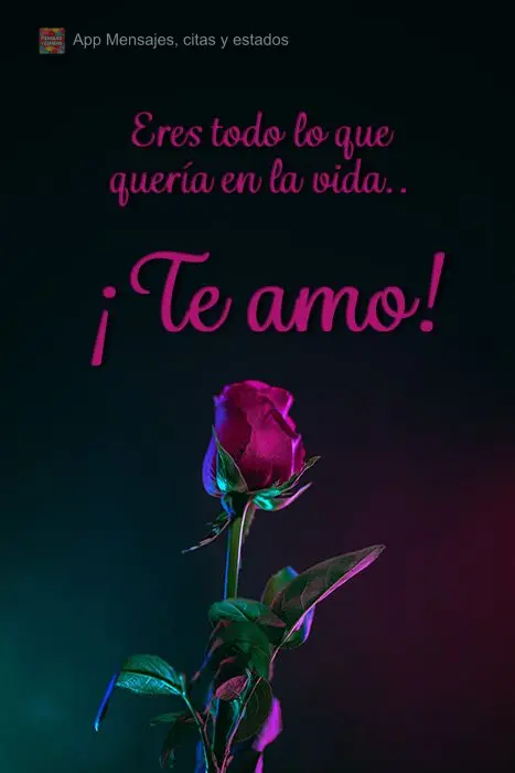 Você é tudo o que desejei na vida. Te amo!