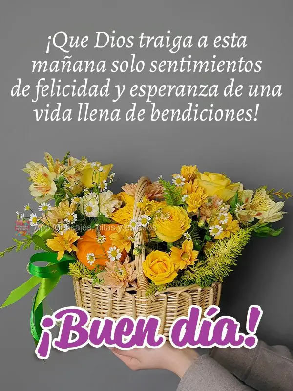 Que Deus traga para esta manhã apenas sentimentos de felicidade e esperança por uma vida cheia de bênçãos! Bom dia! 