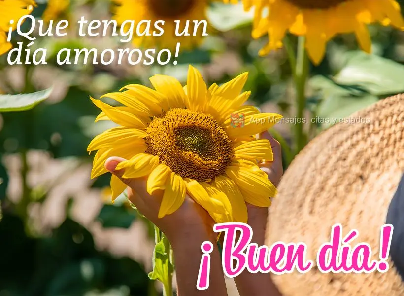 Tenha um dia cheio de carinho! Bom dia!