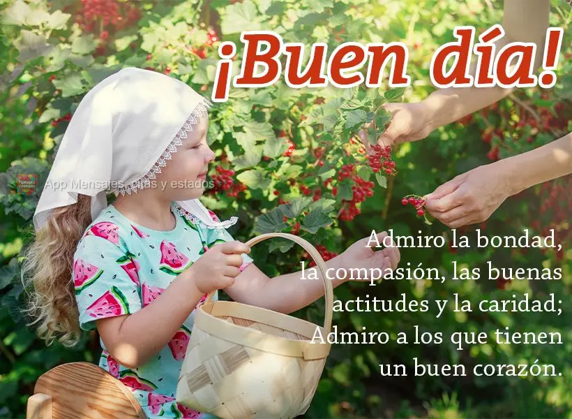 Admiro a gentileza, a compaixão, as boas atitudes e a caridade; admiro quem tem um bom coração. Bom dia!