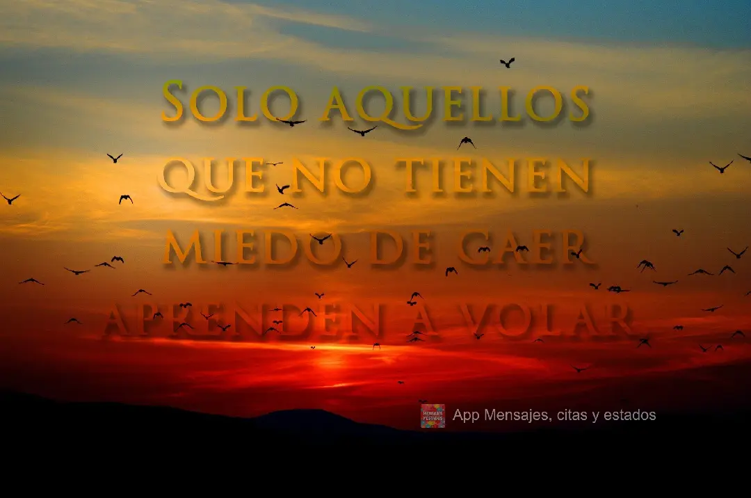 Solo aquellos que no tienen miedo de caer aprenden a volar.