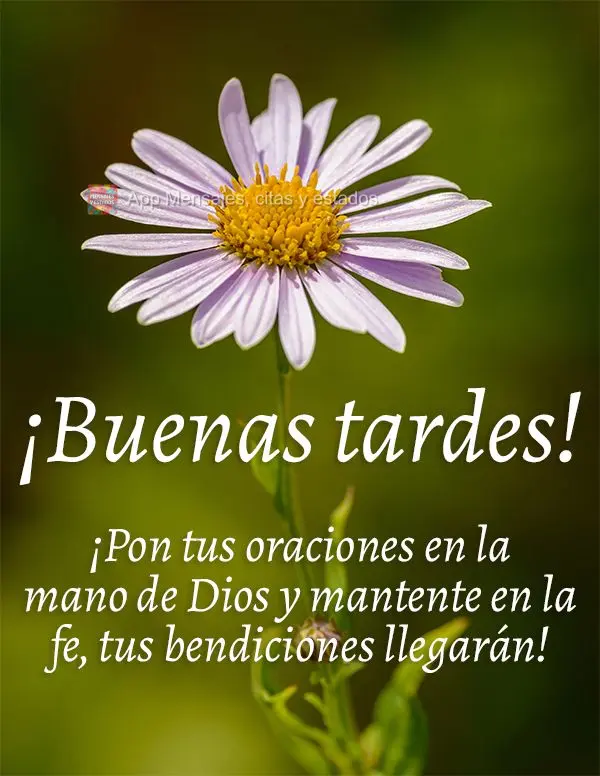 ¡Pon tus oraciones en la mano de Dios y mantente en la fe, tus bendiciones llegarán! ¡Buenas tardes!