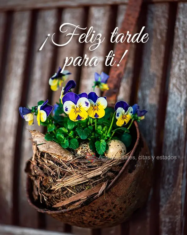 ¡Feliz tarde para ti!