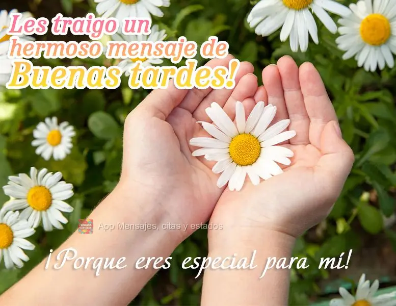 Trouxe para você uma linda mensagem de Boa tarde! Porque você é especial para mim!