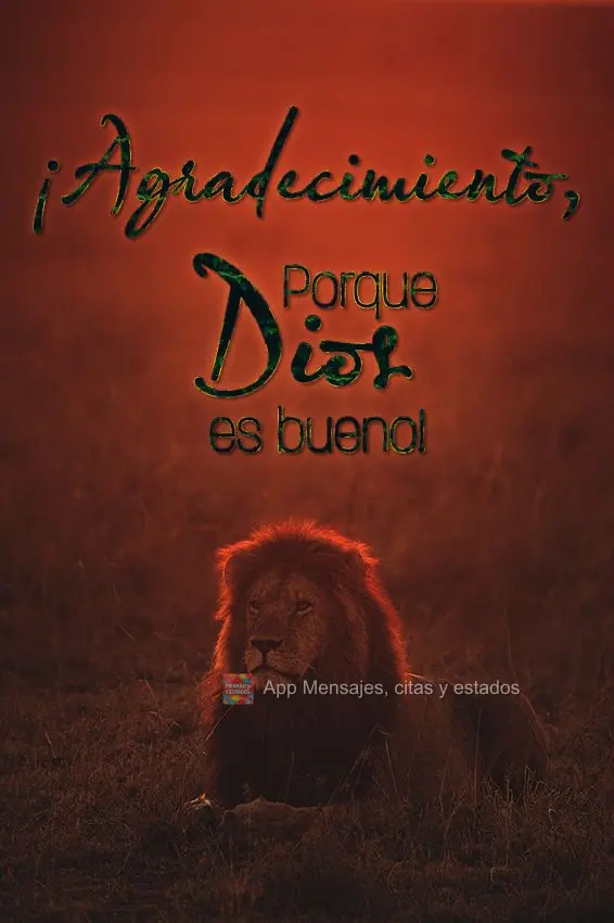 ¡Agradecimiento, porque Dios es bueno!