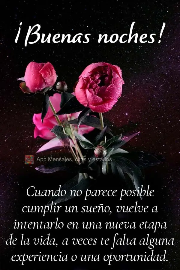 Quando não parecer possível realizar um sonho, tente de novo em uma nova fase de vida. As vezes te falta alguma experiência ou uma oportunidade. Boa n...