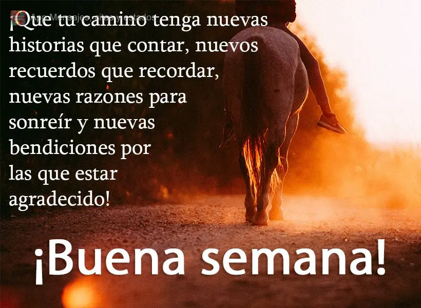 Que em seu caminho tenha novas histórias para contar, novas memórias para lembrar, novos motivos para sorrir, e novas bênçãos para agradecer! Boa se...