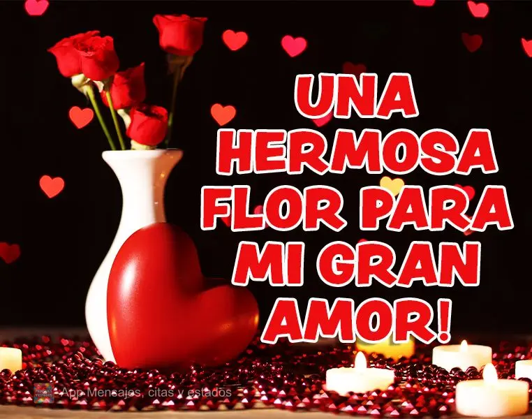 ¡Una hermosa flor para mi gran amor!