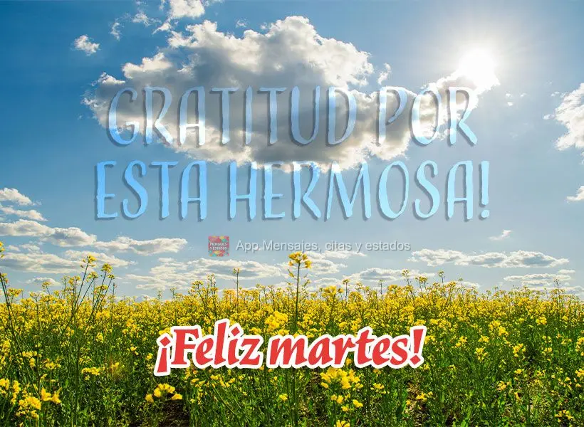 ¡Gratitud por este hermoso día! ¡Feliz martes!
