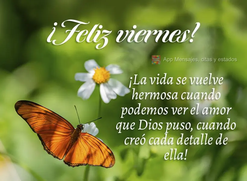 ¡La vida se vuelve hermosa cuando podemos ver el amor que Dios puso, cuando creó cada detalle de ella! ¡Feliz viernes!
