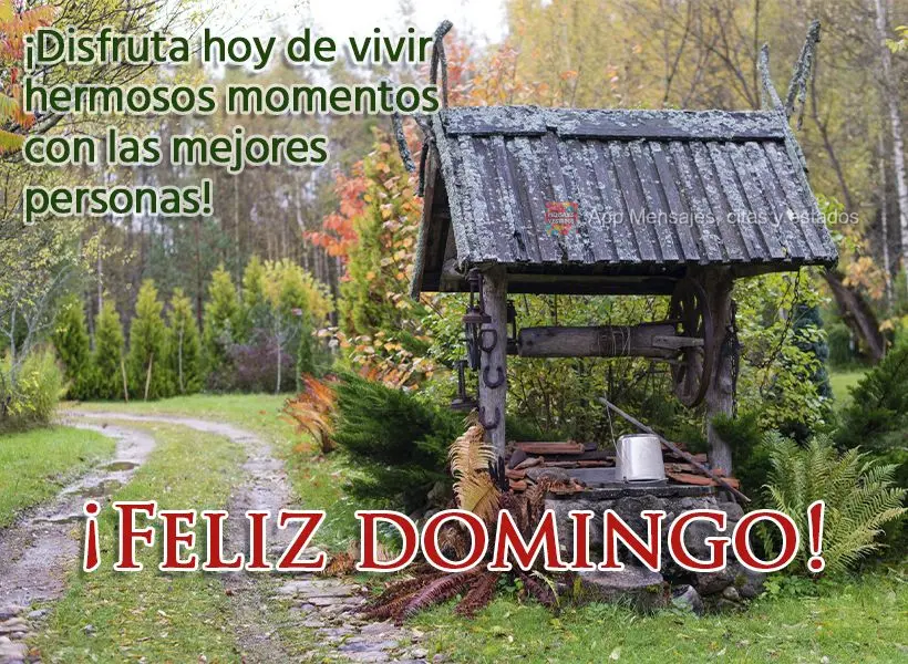 ¡Disfruta hoy de vivir hermosos momentos con las mejores personas! ¡Feliz Domingo!