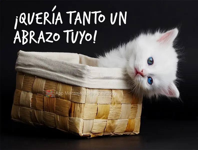 ¡Quería tanto un abrazo tuyo!