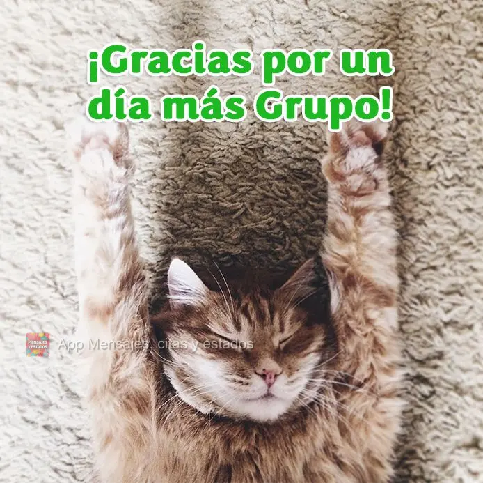 ¡Gracias por un día más Grupo!