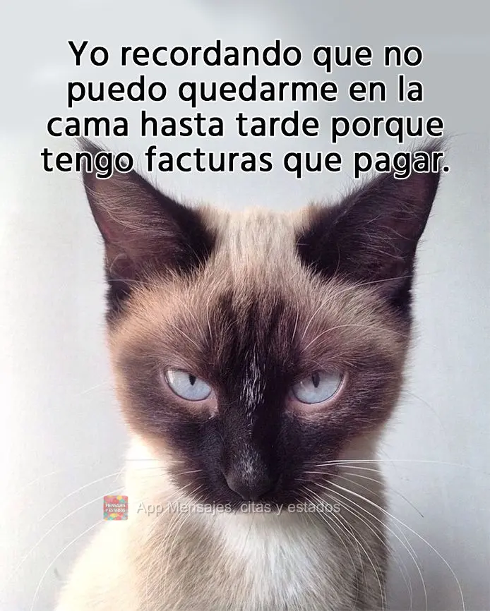 Yo recordando que no puedo quedarme en la cama hasta tarde porque tengo facturas que pagar.