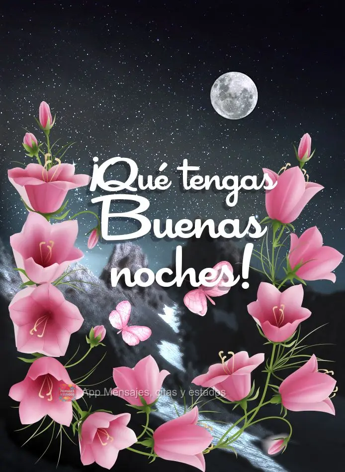 ¡Qué tengas buenas noches!