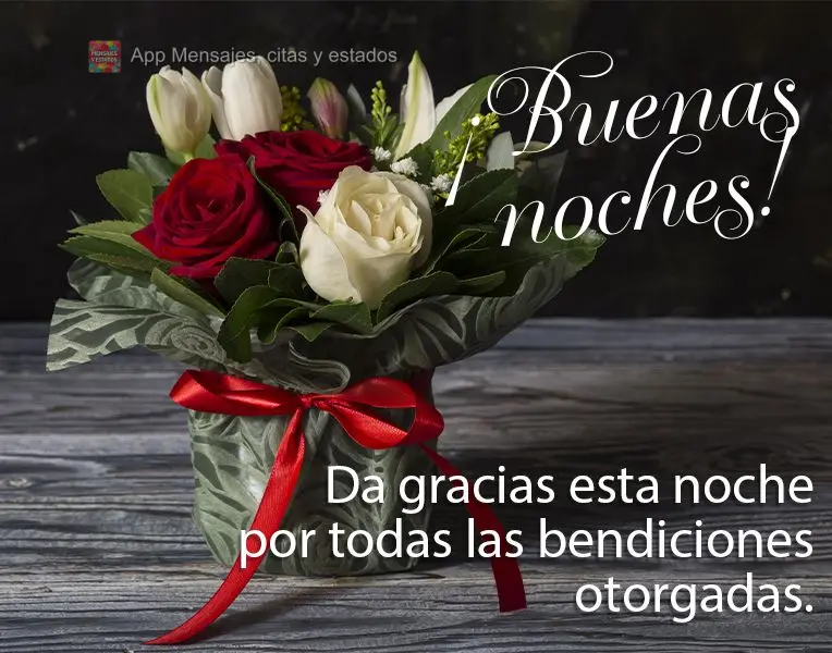 Agradeça esta noite por todas as bênçãos concedidas. Boa noite! 