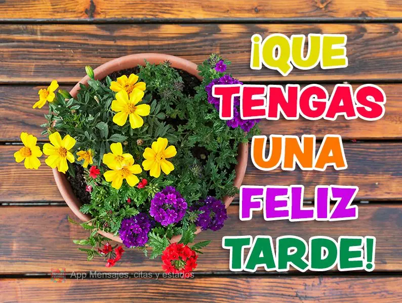 Tenha uma feliz tarde!