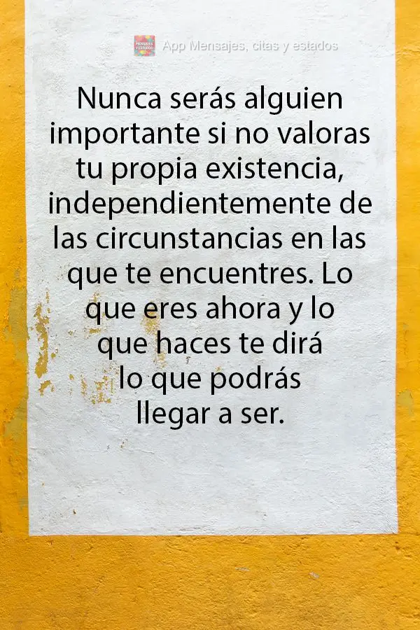 Nunca serás alguien importante si no valoras tu propia existencia, independientemente de las circunstancias en las que te encuentres. Lo que eres ahora ...