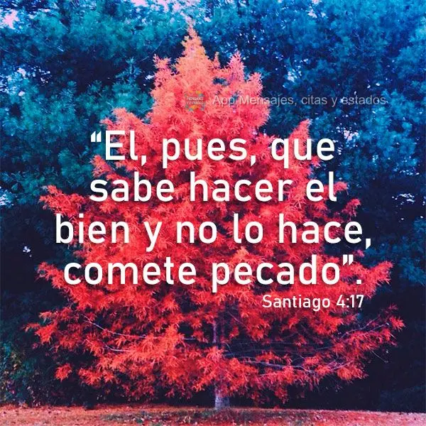“El, pues, que sabe hacer el bien y no lo hace, comete pecado”. Santiago 4:17