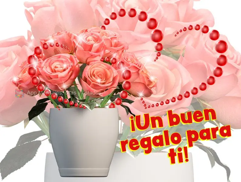 ¡Un buen regalo para ti!