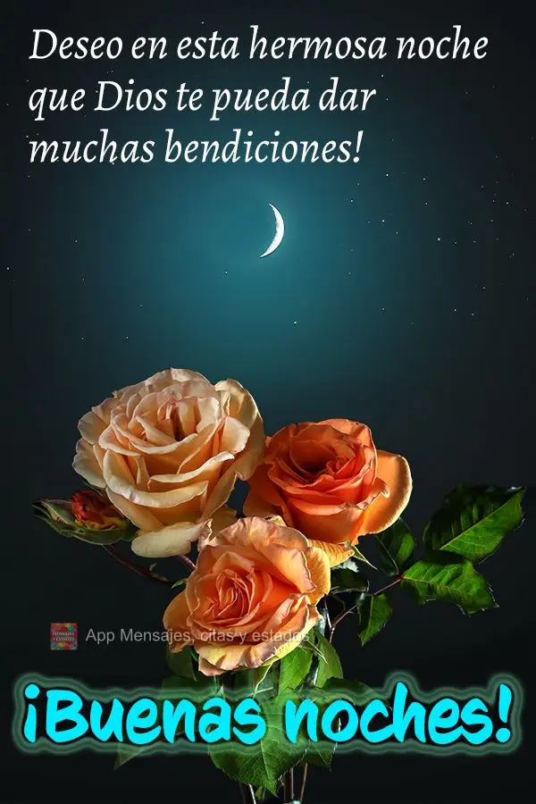 Desejo nesta linda noite que Deus possa lhe entregar muitas bênçãos! Boa noite! 