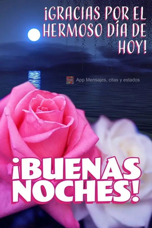 Agradeça pelo lindo dia de hoje! Boa noite! 