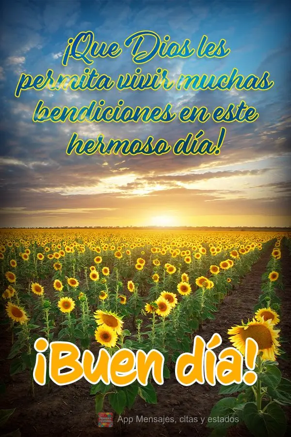 ¡Que Dios les permita vivir muchas bendiciones en este hermoso día! ¡Buen día!