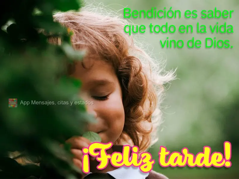 Bênção mesmo é saber que tudo na vida veio de Deus. Feliz tarde!