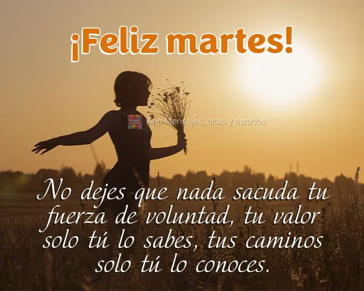 No dejes que nada sacuda tu fuerza de voluntad, tu valor solo tú lo sabes, tus caminos solo tú lo conoces. ¡Feliz martes!
