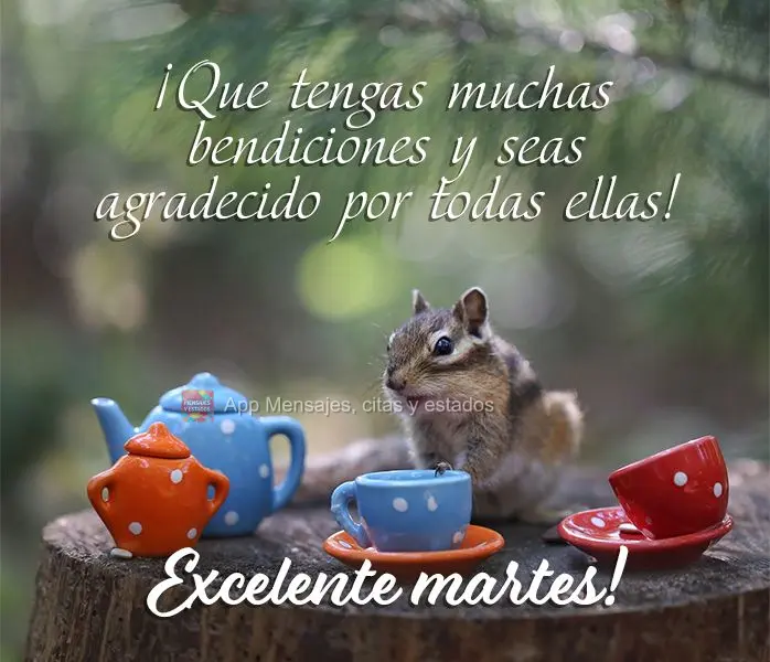 Que você tenha muitas bênçãos e seja grato por todas elas! Excelente terça-feira!