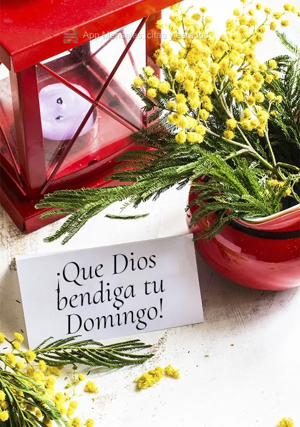 ¡Que Dios bendiga tu Domingo!