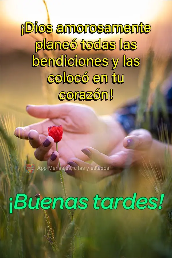 Deus planejou com carinho todas as bênçãos e as colocou em seu coração! Boa tarde! 