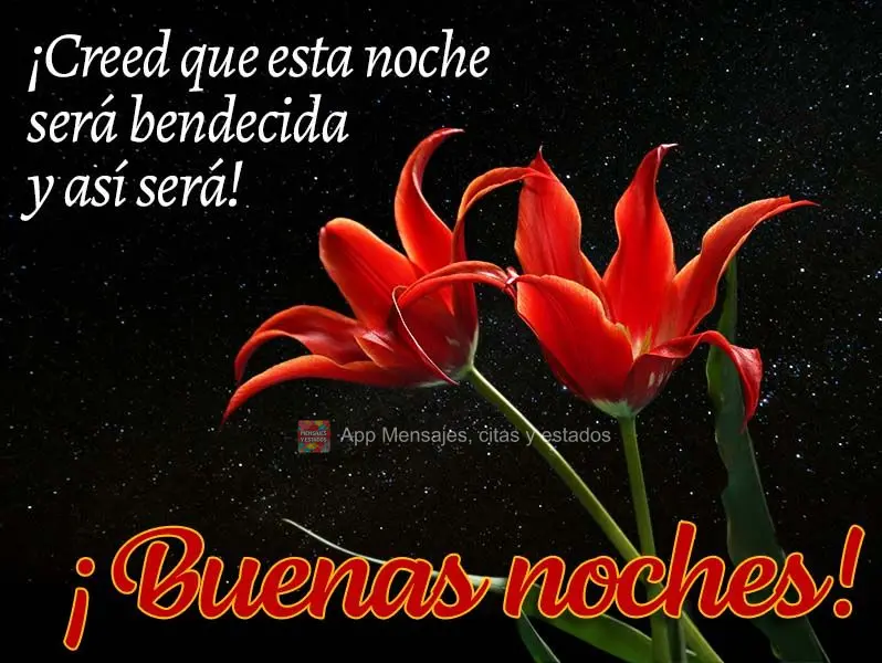 Acredite que esta noite será abençoada e assim se sucederá! Boa noite!