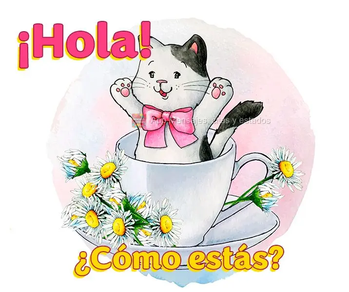 ¡Hola! ¿Cómo estás?