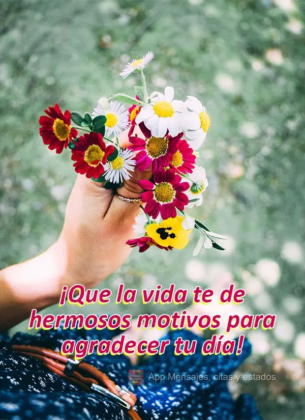 Que a vida lhe entregue lindos motivos para agradecer pelo seu dia!