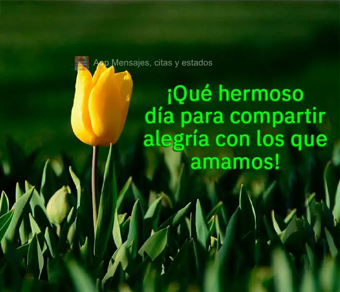 ¡Qué hermoso día para compartir alegría con los que amamos!