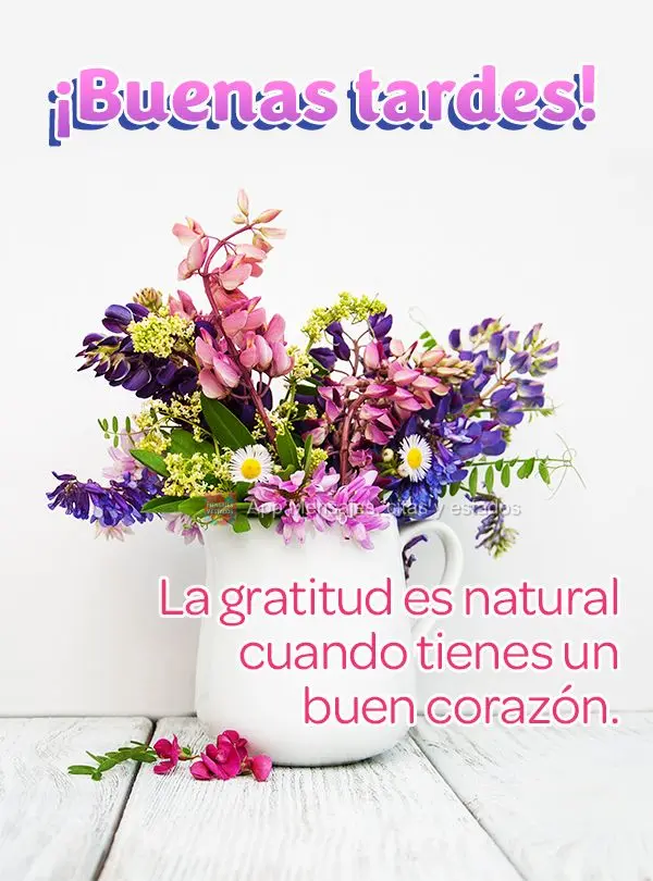 La gratitud es natural cuando tienes un buen corazón. ¡Buenas tardes!
