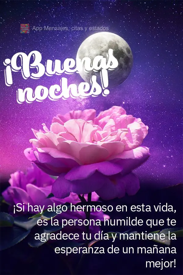 Se existe algo bonito nessa vida, é a pessoa humilde que agradece pelo seu dia e mantém esperança por um amanhã melhor! Boa noite!