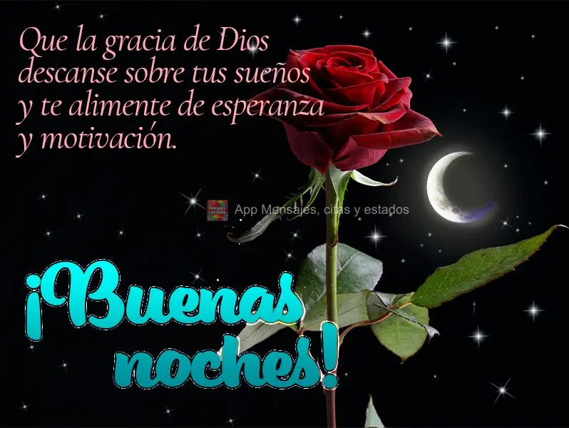 Que a graça de Deus repouse sobre os seus sonhos e o alimente de esperança e motivação. Boa noite!