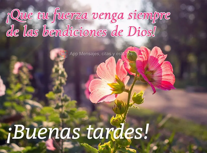 Que a sua força venha sempre das bênçãos de Deus! Boa tarde!