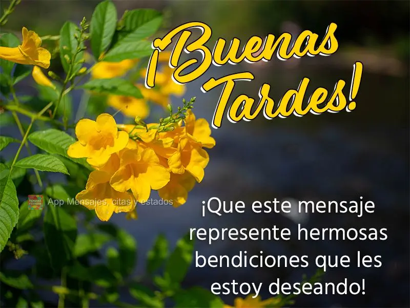 Que essa mensagem possa representar lindas bênçãos que eu estou a te desejar! Boa tarde!