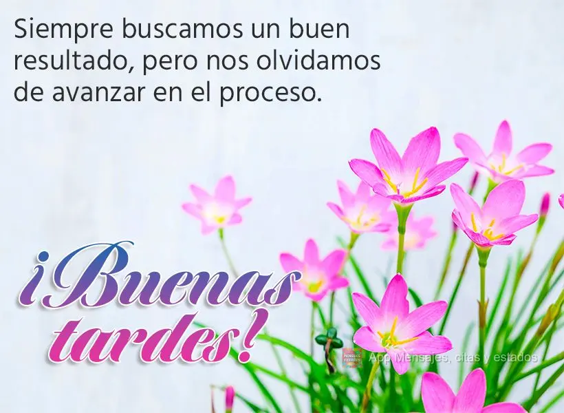 Buscamos sempre um bom resultado, mas esquecemos de progredir no processo. Boa tarde!