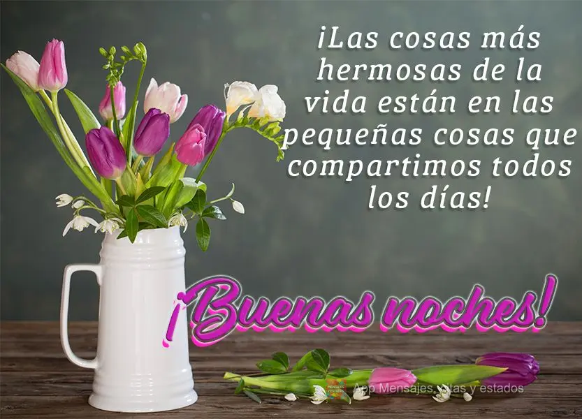 ¡Las cosas más hermosas de la vida están en las pequeñas cosas que compartimos todos los días! ¡Buenas noches!