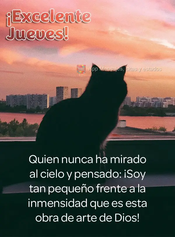 Quien nunca ha mirado al cielo y pensado: ¡Soy tan pequeño frente a la inmensidad que es esta obra de arte de Dios! ¡Excelente jueves!