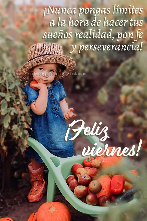 ¡Nunca pongas límites a la hora de hacer tus sueños realidad, pon fe y perseverancia! ¡Feliz viernes!